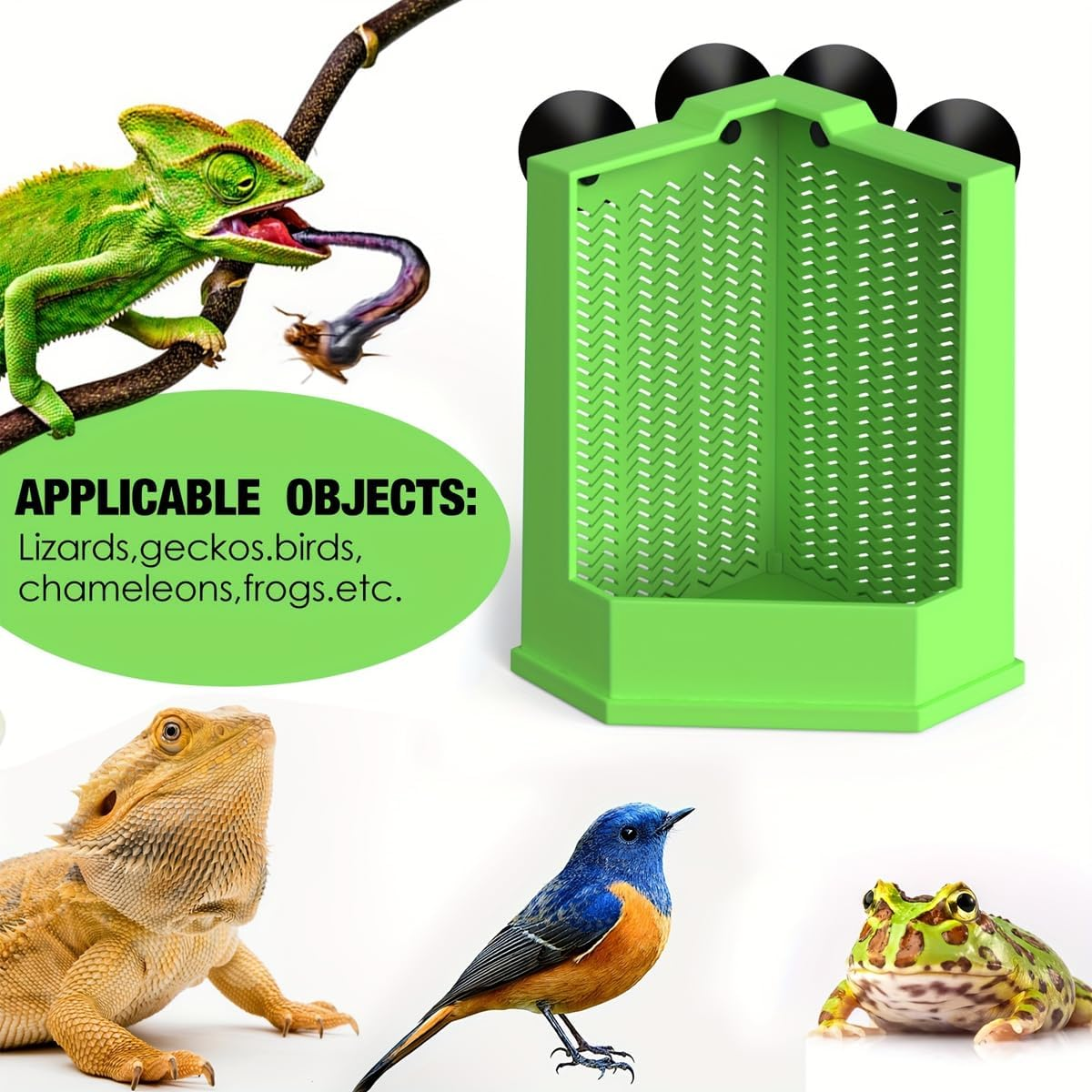 AIMALL Dual-Size Insect Feeder for Reptiles &ndash; Suction Cup Mounted Lizard and Gecko Feeding Station, Ant-Escape Design, Suitable for Various Climbing Pets image number 1