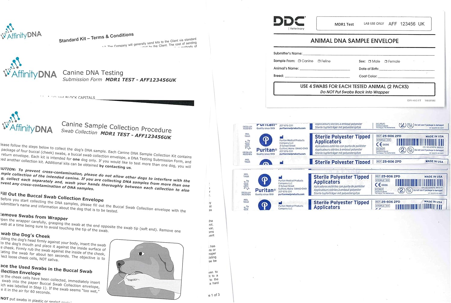 Affinitydna Dog Multidrug Resistance 1 (MDR1) DNA Test Kit | Home Sample Collection Kit for 1 Canine | Puppy MDR1 Testing Kits | Results in 7-10 Working Days | a Complete Kit with No Extra Fees image number 1