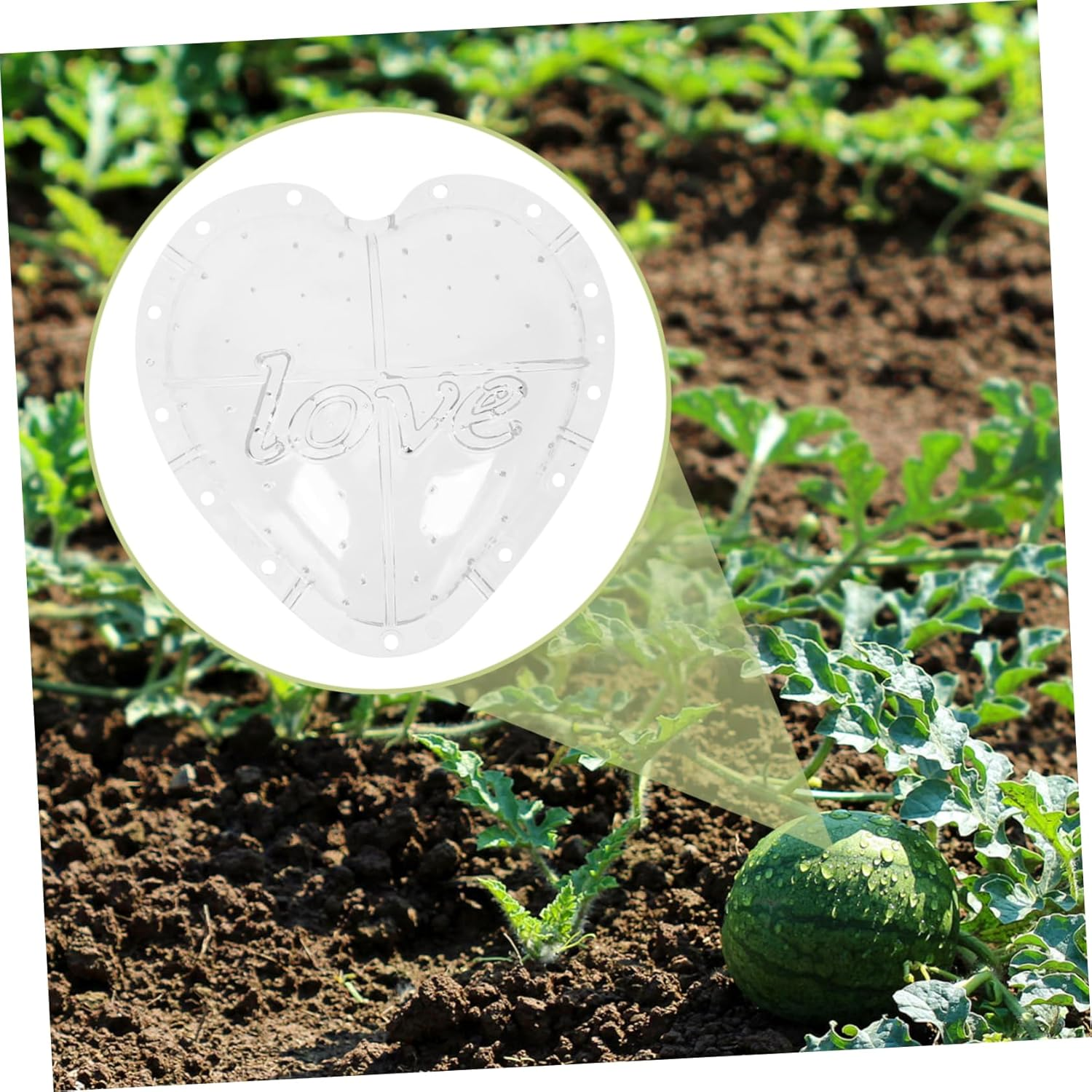 Angoily Heart Fruit Shaping Mould Vegetable Moulds Easy to Use Watermelon Growing Mold Creative Gardening Supplies image number 3