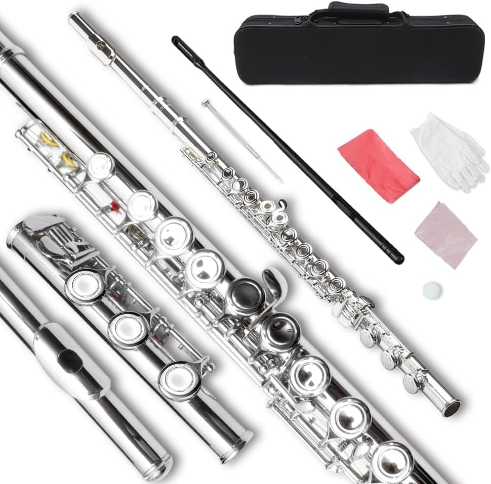 Flute 17 Key Closed Hole C Flute for Beginner Cleaning Kit with Gloves Cloth Tuning Rod Hard Case Nickel Siver, 17 Key Flute Instrument Student Flutes(Closed Hole,Silver)