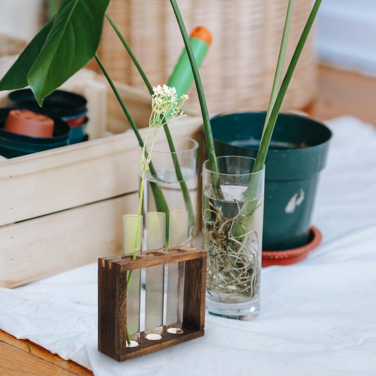 Cabilock Retro Wooden Rack Test Tube Vase for Hydroponic Plants, Glass Propagation Station for Flowers, Desktop Terrarium Decoration for Home, Office, or Restaurant
