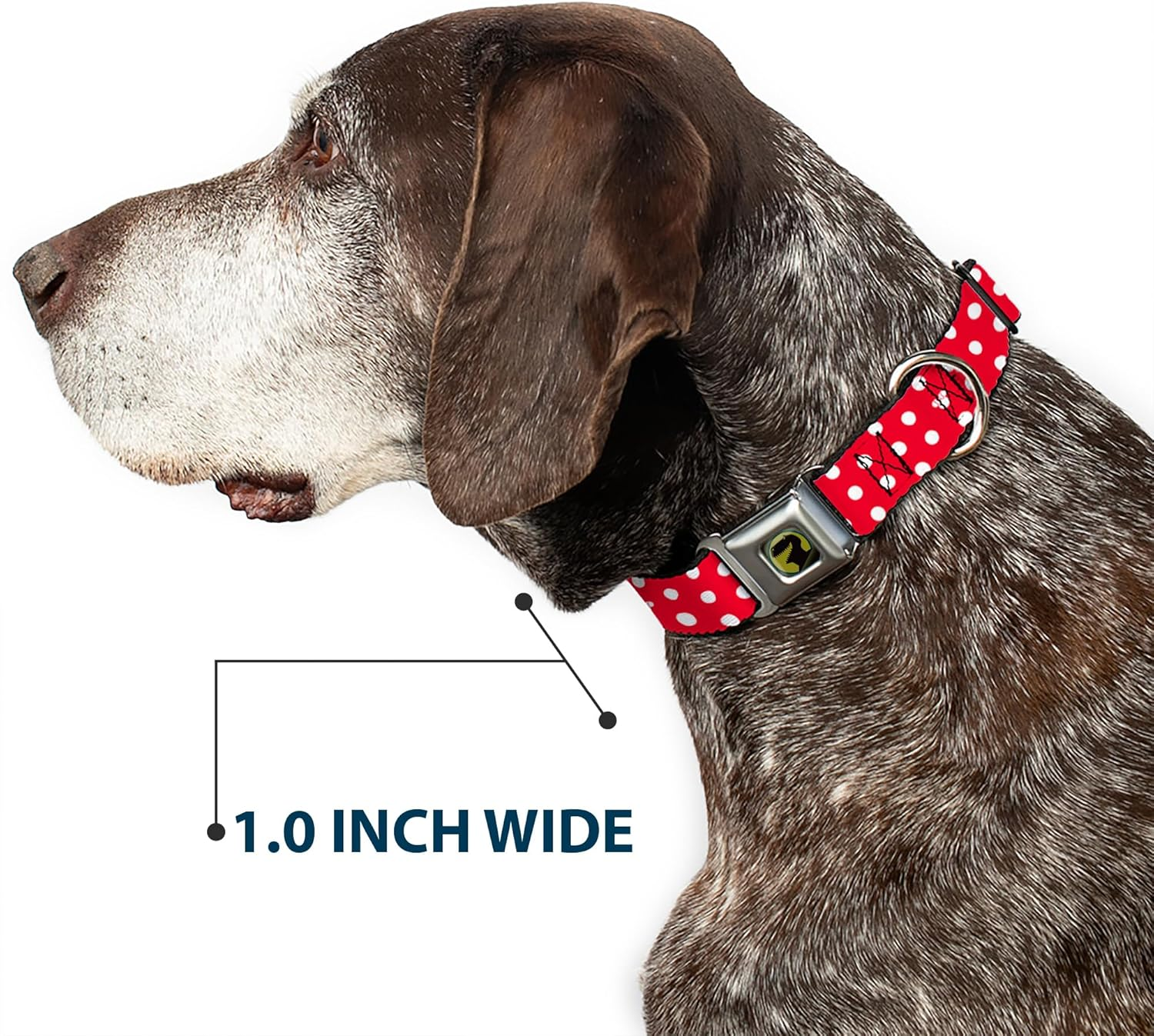 Buckle-Down Seatbelt Buckle Dog Collar - Minnie Mouse Polka Dot/Mini Silhouette Red/White - 1.5" Wide - Fits 13-18" Neck - Small image number 1