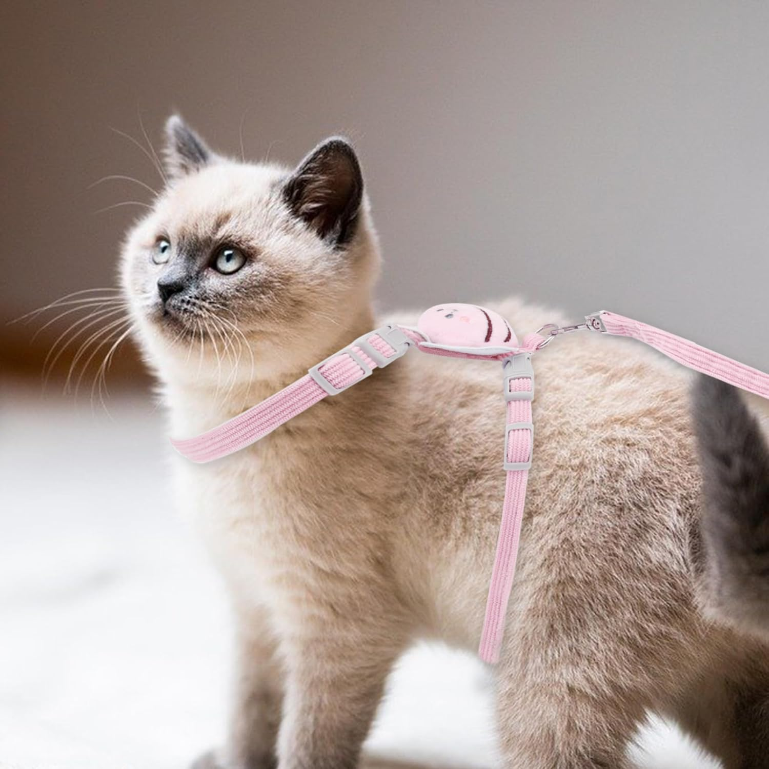 CAPASTEC Easy Control Dog Harness Set, Cat Harness and Leash Set, Medium, Pink