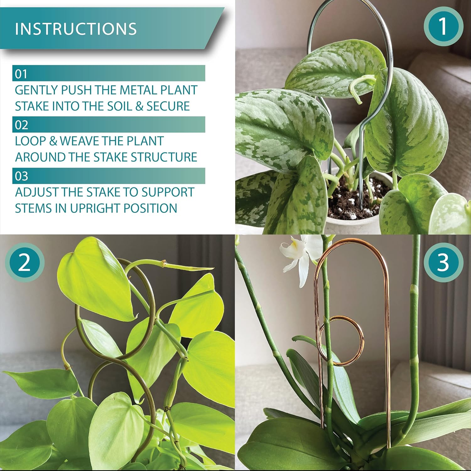 LOOPSEED Small Metal Trellis for Indoor Plants Metal Plant Stake for Climbing House Plants Plant Support for Potted Plants Orchids, Monstera, Pothos, Ivy, Hoya, Philodendron Set of 4 (Brushed Gold) image number 3