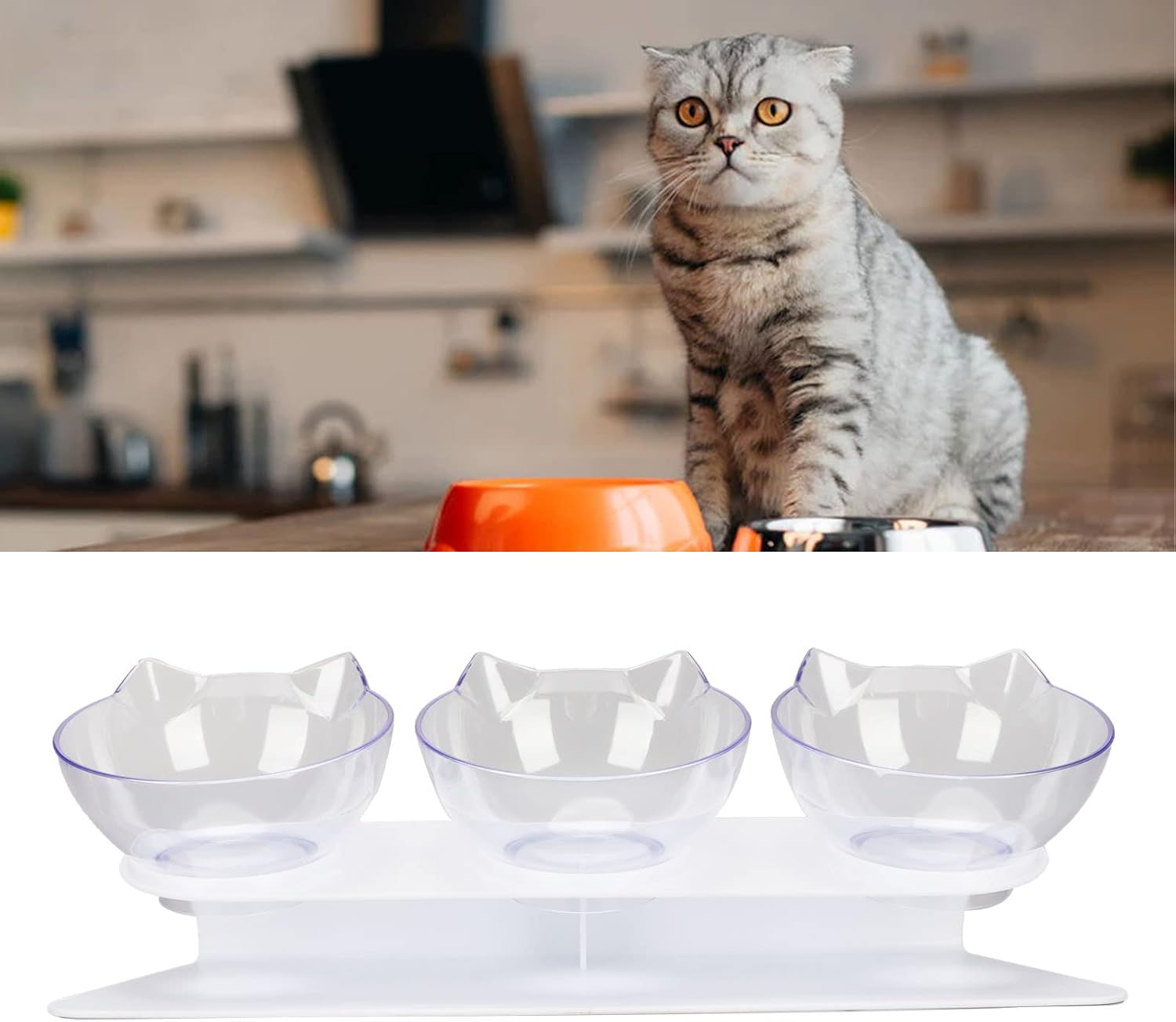 Pssopp 3 Raised Feeding Bowls for Cats Transparent Removable Raised Feeding Bowls Water Raised Feeding Bowls for Cats and Small Dogs image number 6