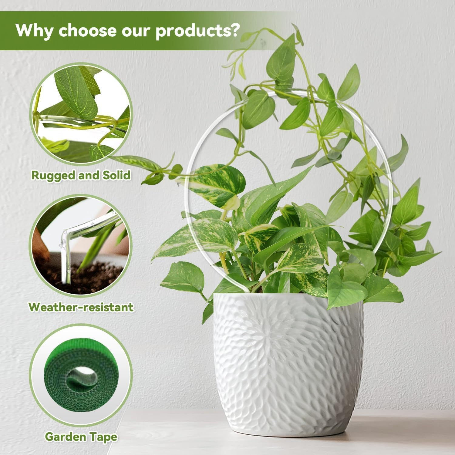 2PCS Small Trellis for Potted Plants, Circle Trellis with Plant Tape, Plant Climber Support for Climbing Plants Indoor Outdoor, Plant Trellis for Vines Flower Topiary Frames (Silvery) image number 4