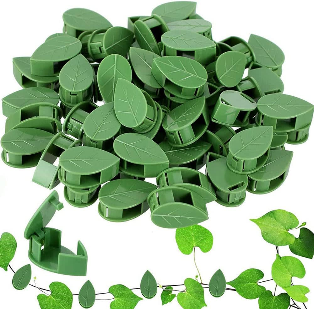 100X Plant Climbing Wall Fixture Hooks Fixing Self-Adhesive Invisible Clips image number 3