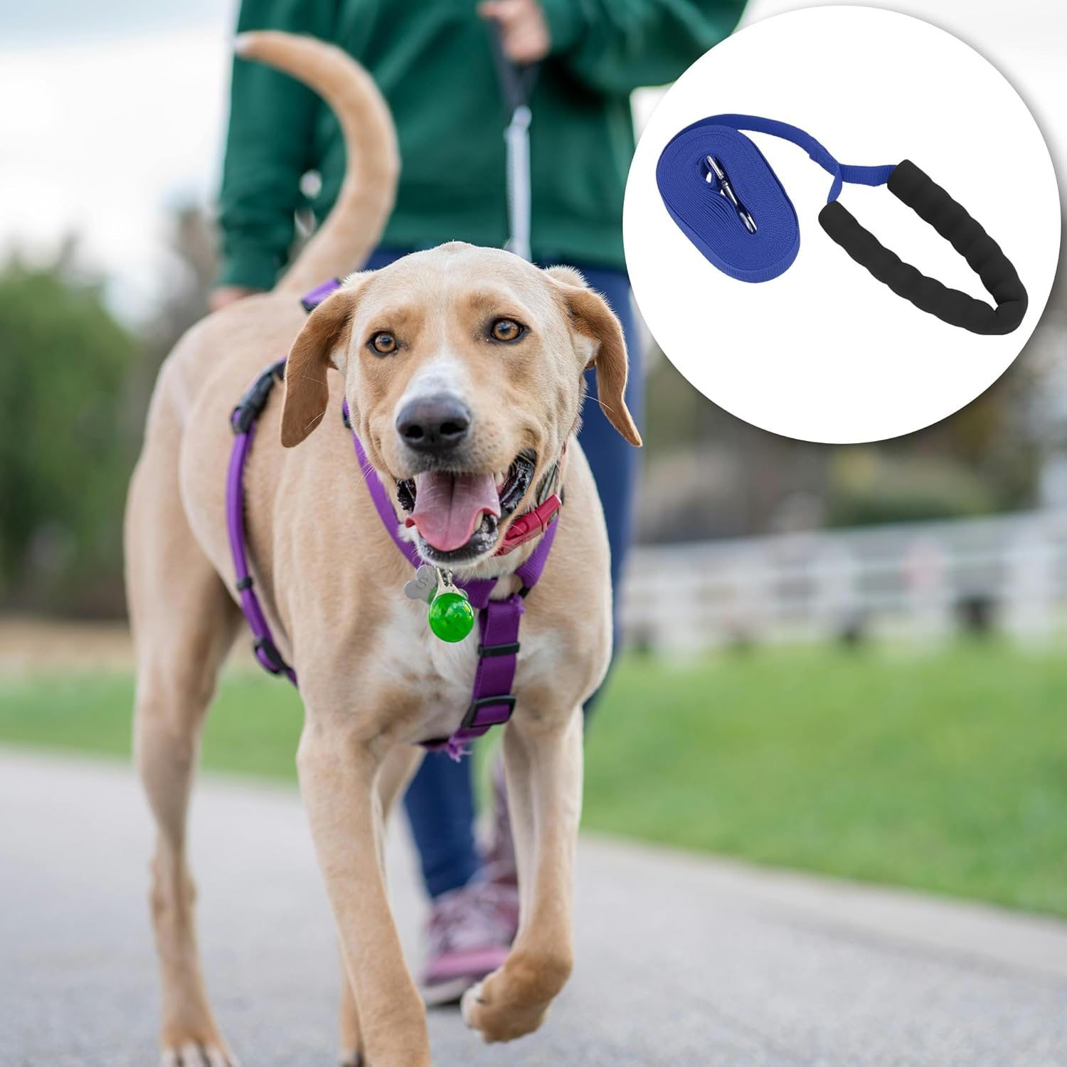 CAPASTEC Training Lead for Dogs, 19.7 Ft Puppy Leashes with Foam Handle, Blue image number 5