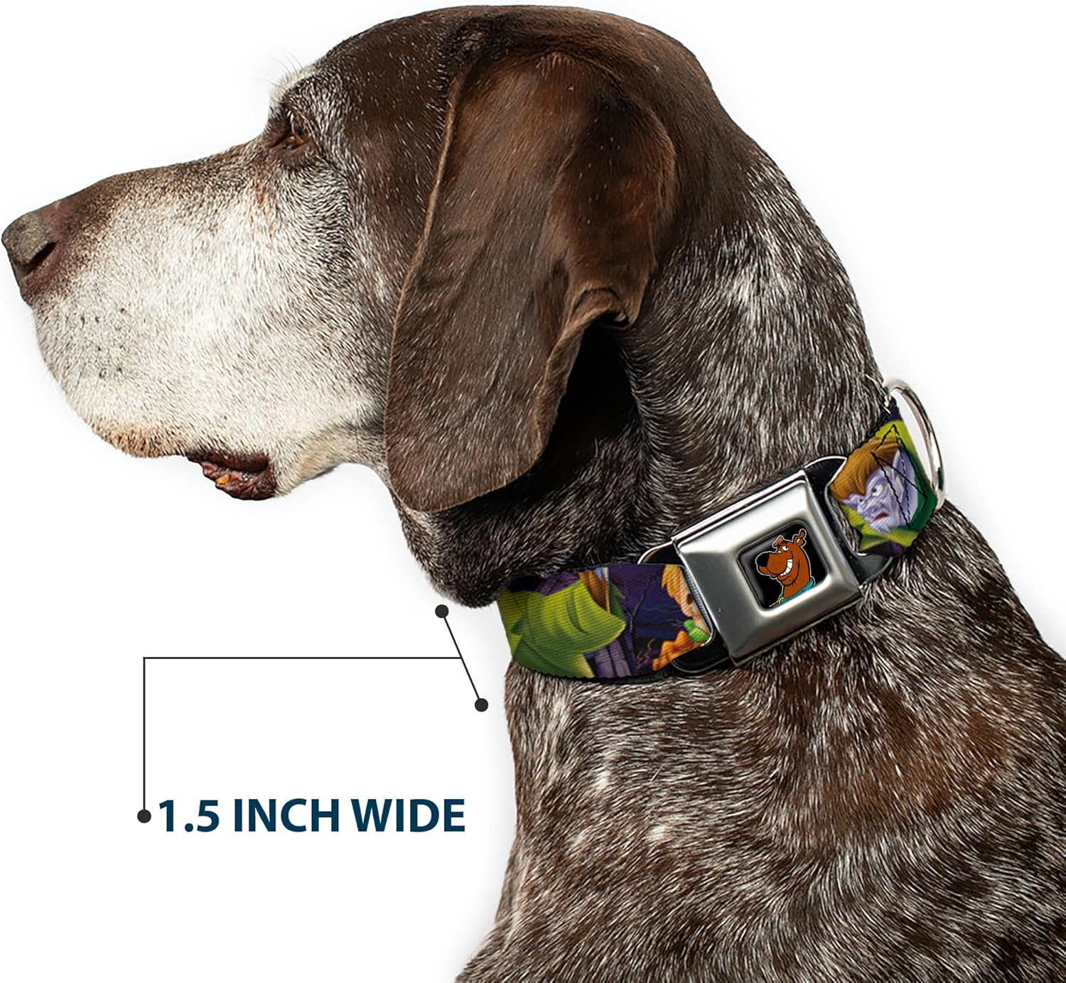 Buckle-Down Seatbelt Buckle Dog Collar - Scooby & Shaggy Hugging W/Werewolf Man Purple - 1" Wide - Fits 11-17" Neck - Medium image number 1