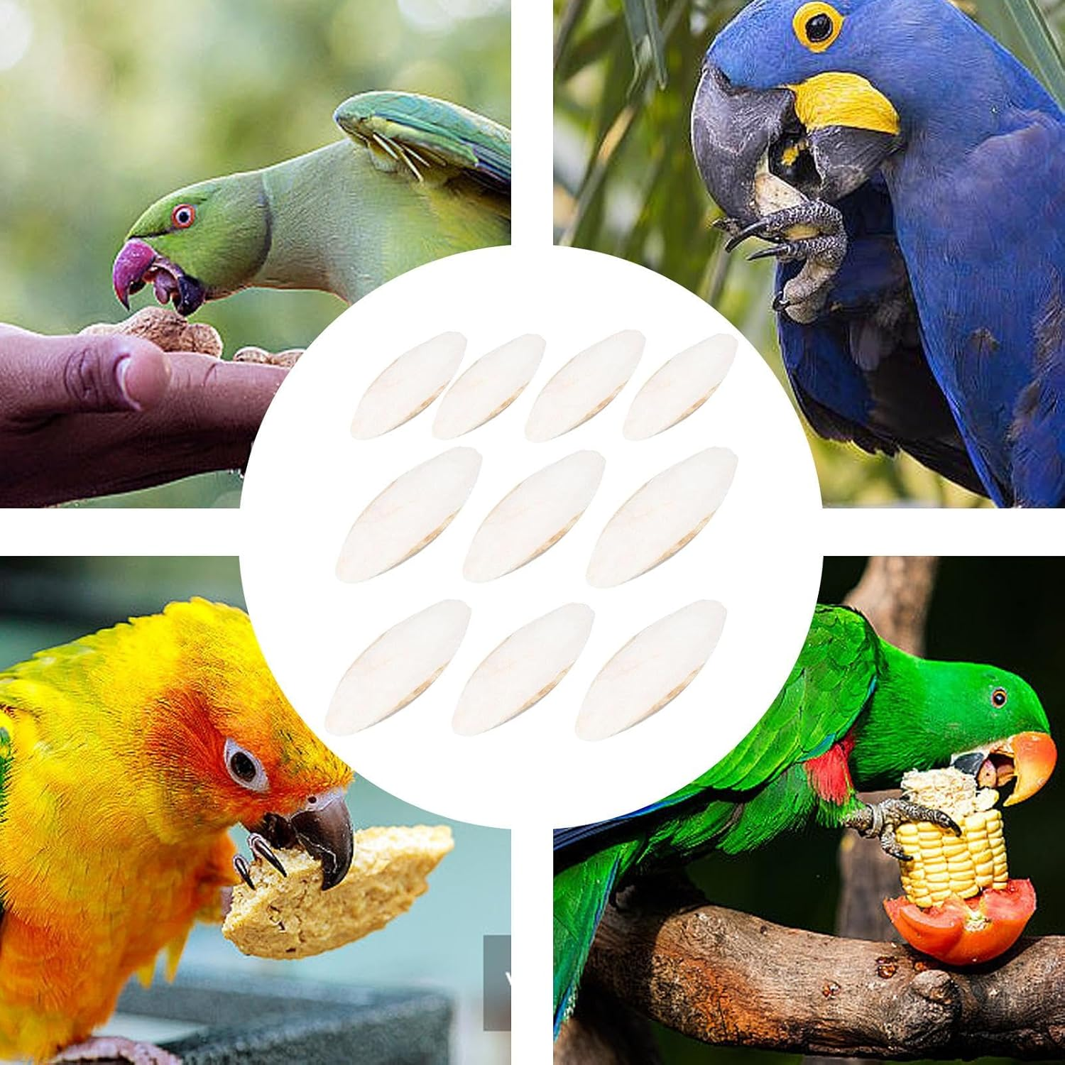 Cuttlebone for Tortoise | Cuttlebone Toy - Bird Cuddle Bone Toy Calcium Source Cuttlebone, Natural Bird Cuttlebone for Snails, Turtles image number 5