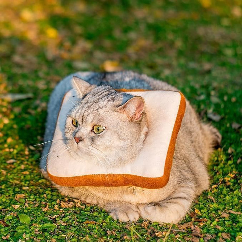 Adjustable Cone Collar Soft - Recovery Collar for Cats after Surgery, Elizabethan Neck Cone for Kittens (Toast-M) image number 3