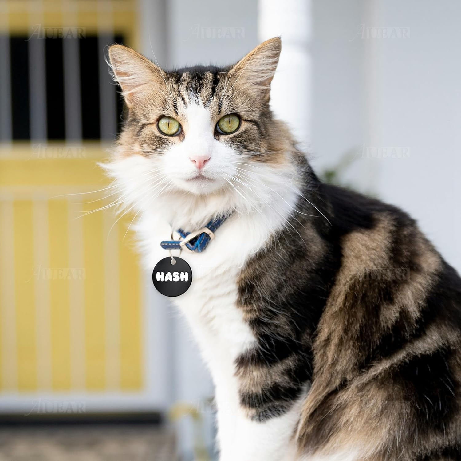 AUEAR, 20 Pack 25Mm round Shape Pet ID Tag Blank Dog Cat ID Tag for Pet Name Phone Charm Jewelry Making (Black) - Silver image number 4