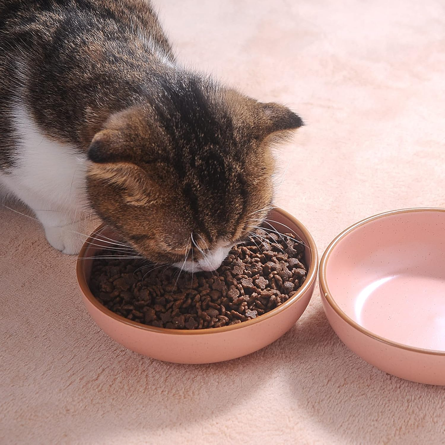 Ceramic Cat Bowls, Howise Pet Bowl Cat Dishes for Food and Water, 5.19 in Cat Food Bowl 3 Pack Pet Dishes for Cats Puppy, Matte Pink Finish image number 6