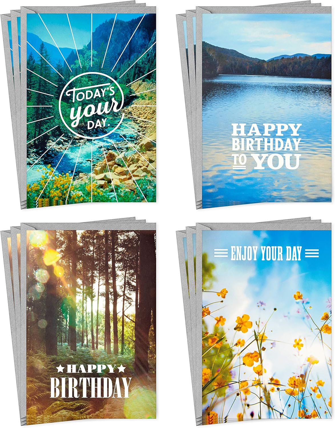 Hallmark Birthday Cards Assortment, Nature (12 Cards with Envelopes)