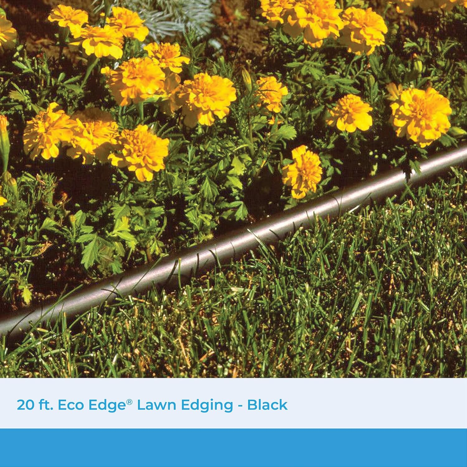 Suncast Plastic Landscape Edging Roll with Double Ridge Design, Flexible 5X20-Foot Coil for Gardens, Flower Beds, and Pathways, Black image number 1