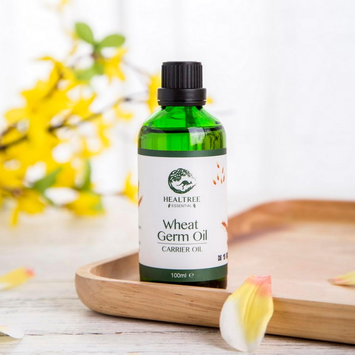 HEALTREE Wheat Germ Oil for Skin Care - Cold Pressed Wheatgerm Oil for Hair, Face or Body Massage Essential Oils (100Ml) image number 2