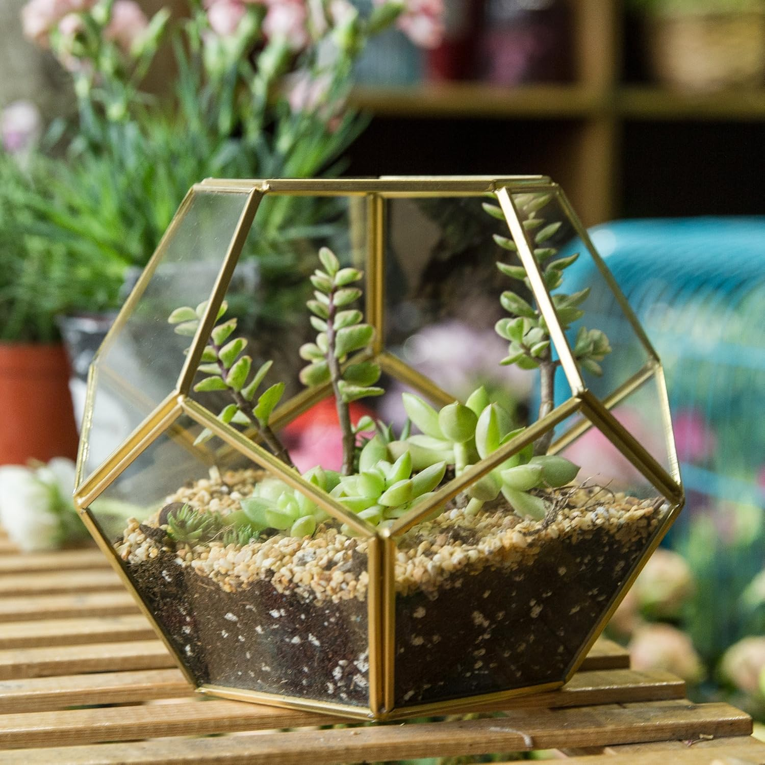 NCYP Brass Glass Pentagon Regular Dodecahedron Geometric Terrarium Container Desktop Planter for Succulent Fern Moss Air Plants Holder Miniature Outdoor Fairy Garden (No Plants,No Door) image number 2