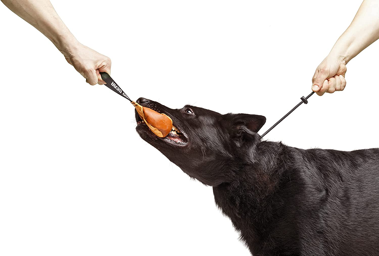 Dingo Gear Choke Collar for Dog Training Handmade of Cord with 1 Limiter Waterproof Black image number 1