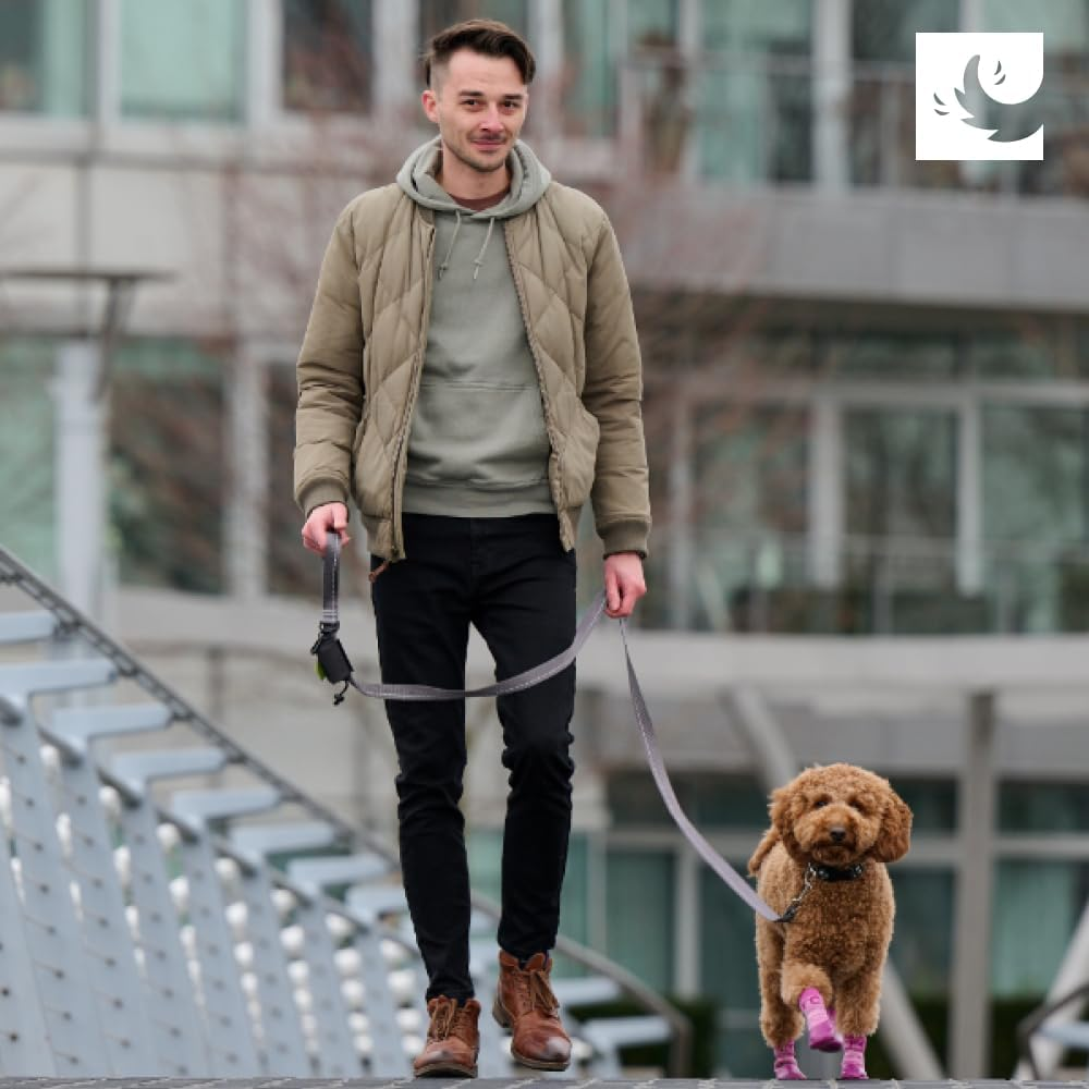 RC Pet Products Sporty Pawks Anti-Slip, Stylish, Functional, Protective Dog Socks | X-Small, Electric Blue/Cyan image number 4