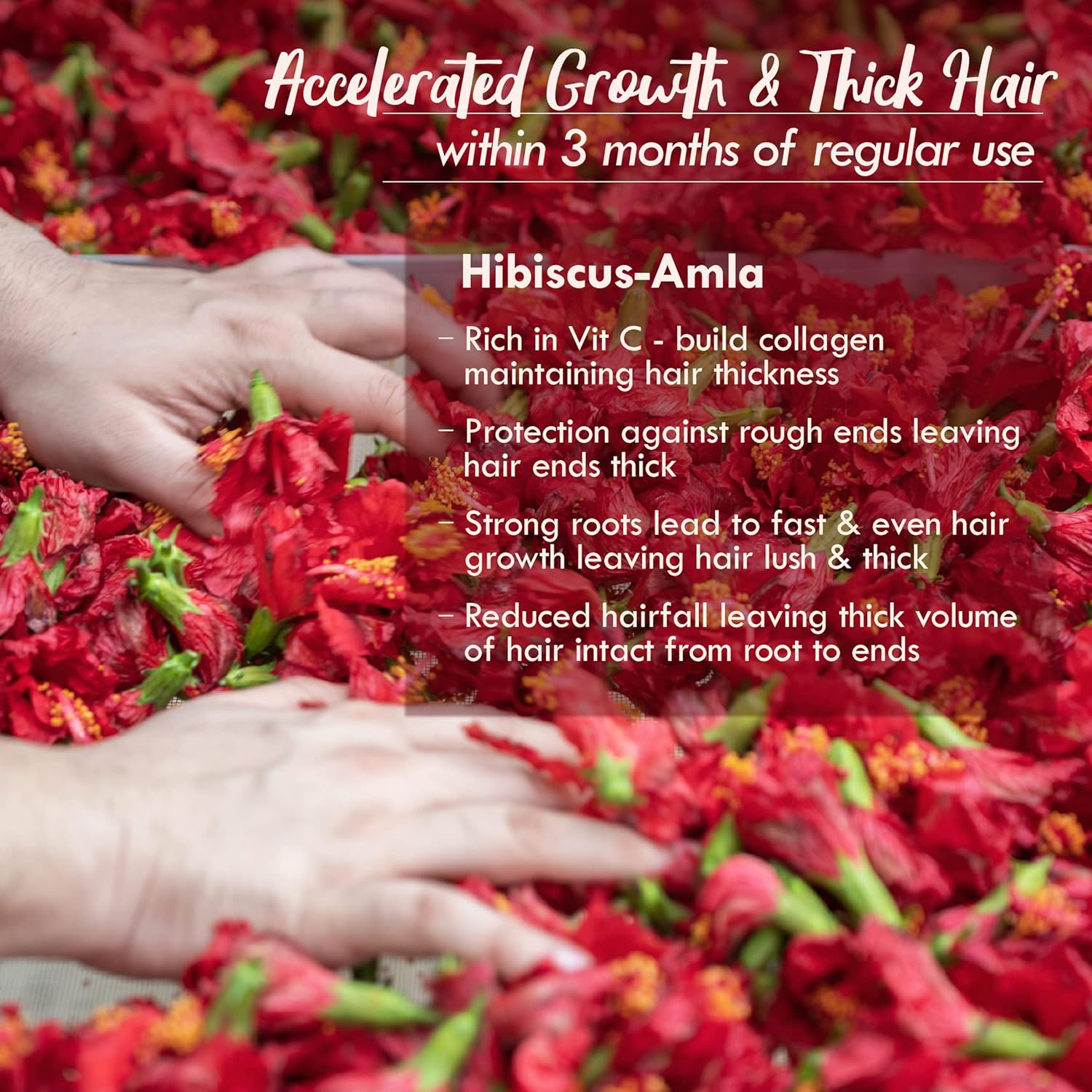 Nat Habit Hibiscus Amla Summer Hair Oil for Men & Women, Helps in Hair Growth & Thickness, for All Hair Types, No Paraffin, Mineral Oil, Preservatives & Chemicals, 100Ml image number 1