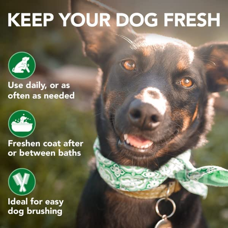 Vet'S Best Moisture Mist Dog Dry Skin Conditioner| Dog Conditioner and Detangler Spray | Relieves Itchy Skin, Refreshes & Soothes | 16 Oz image number 2