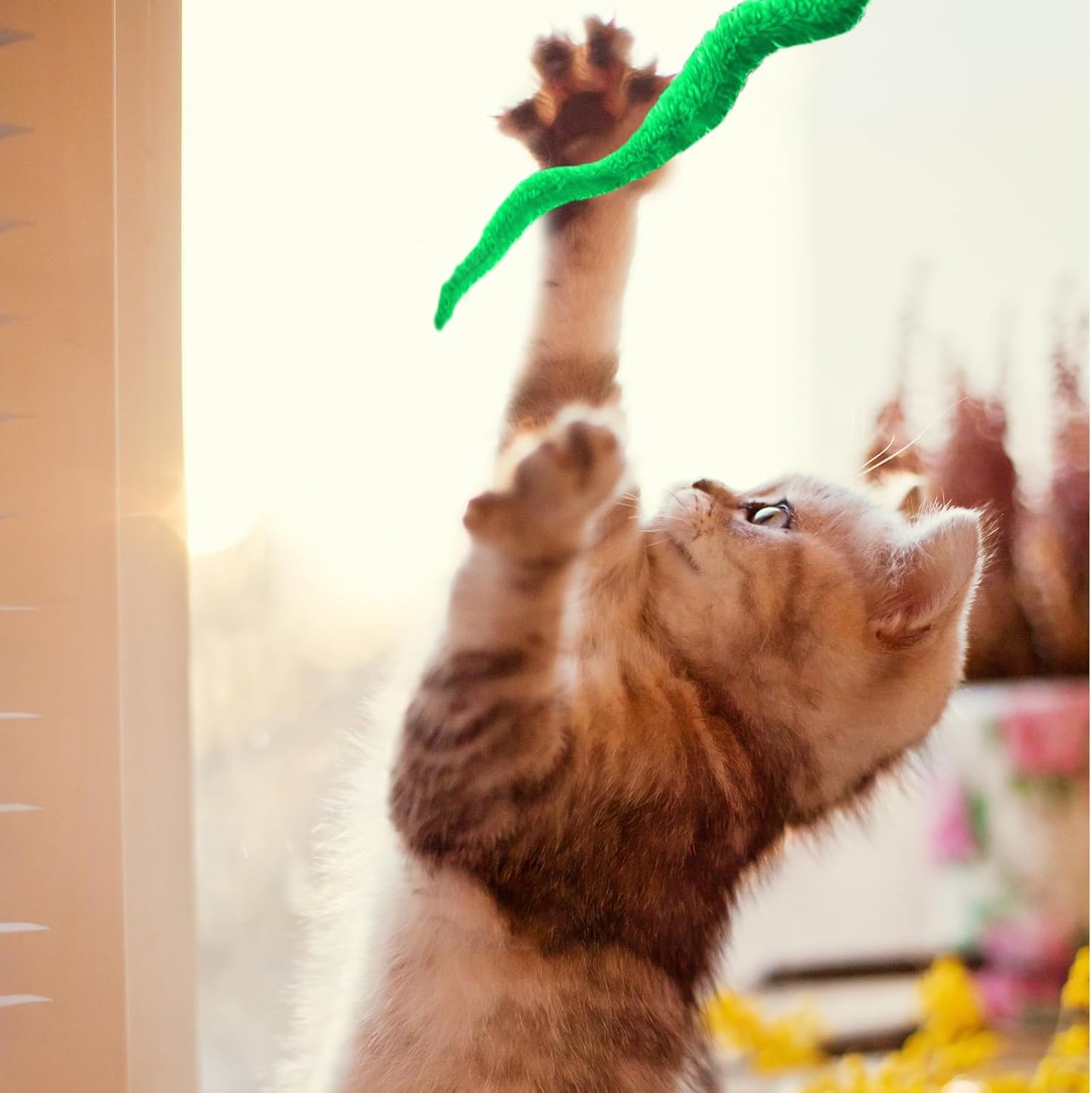 Lilbitty Interactive Toy for Cats: Colorful Bouncy Ball Game with Pom Poms for Crafts and Intelligence Toys, Provides Fun and Entertainment for Indoor Use image number 3