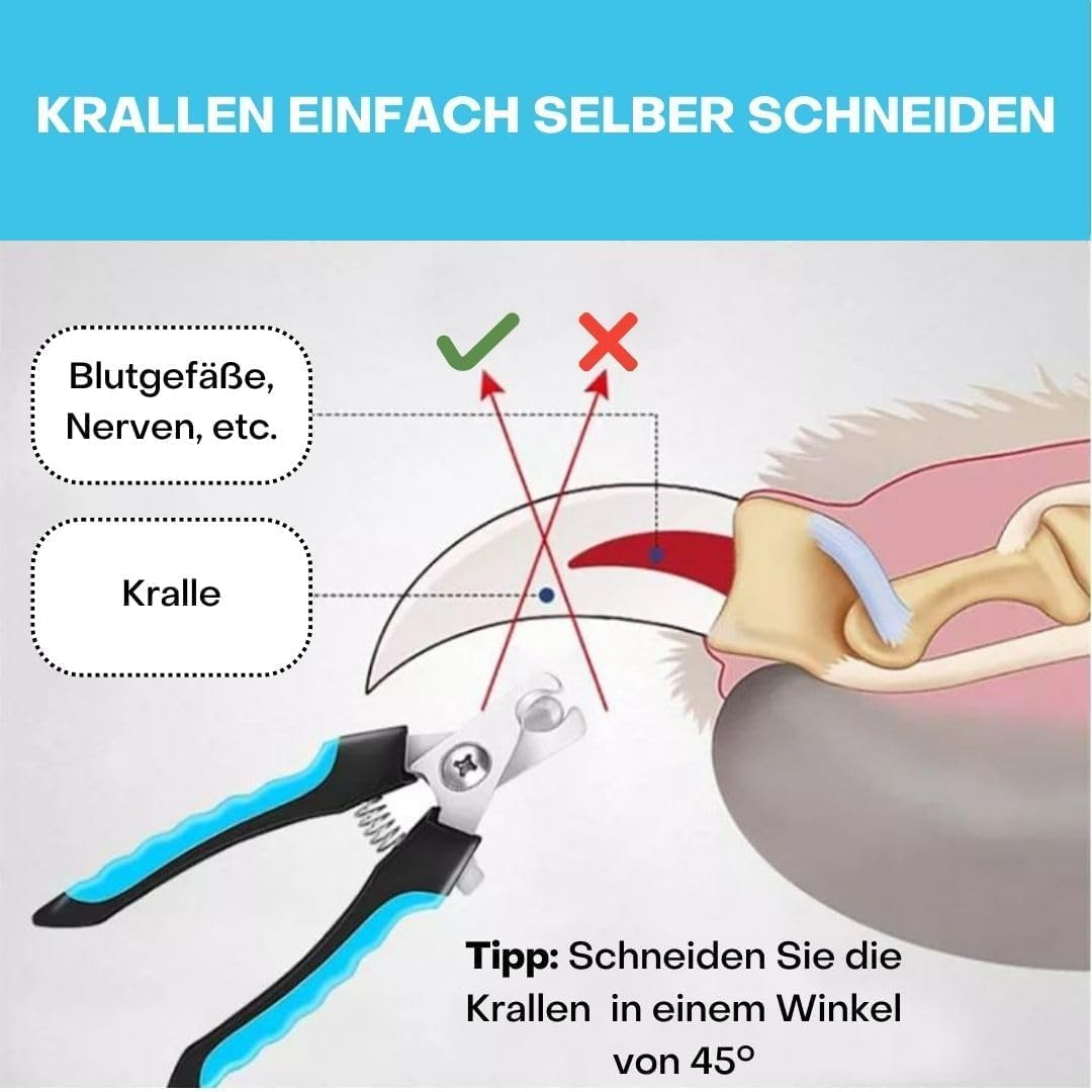 CUEMOON Professional Nail Scissors for Dogs and Cats with Nail File, Stainless Steel Claw Clippers, High Quality Claw Care Cutter for Large and Medium Dogs and Cats in Animal Salon image number 6