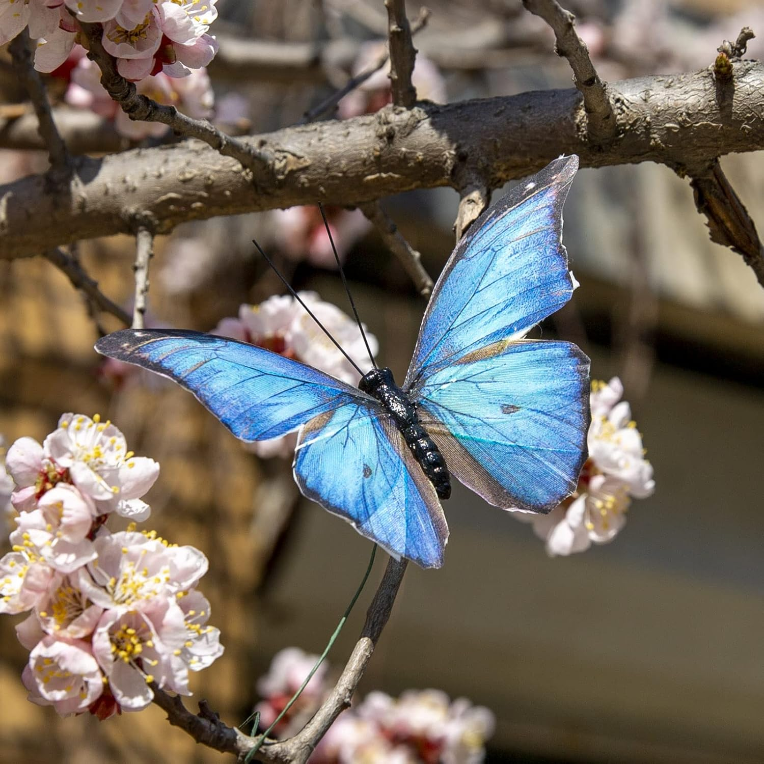 Morpho Butterfly Feather Butterflies on Picks Floral Supplies Set of 12 Pcs Halloween Thanksgiving Decorations image number 5