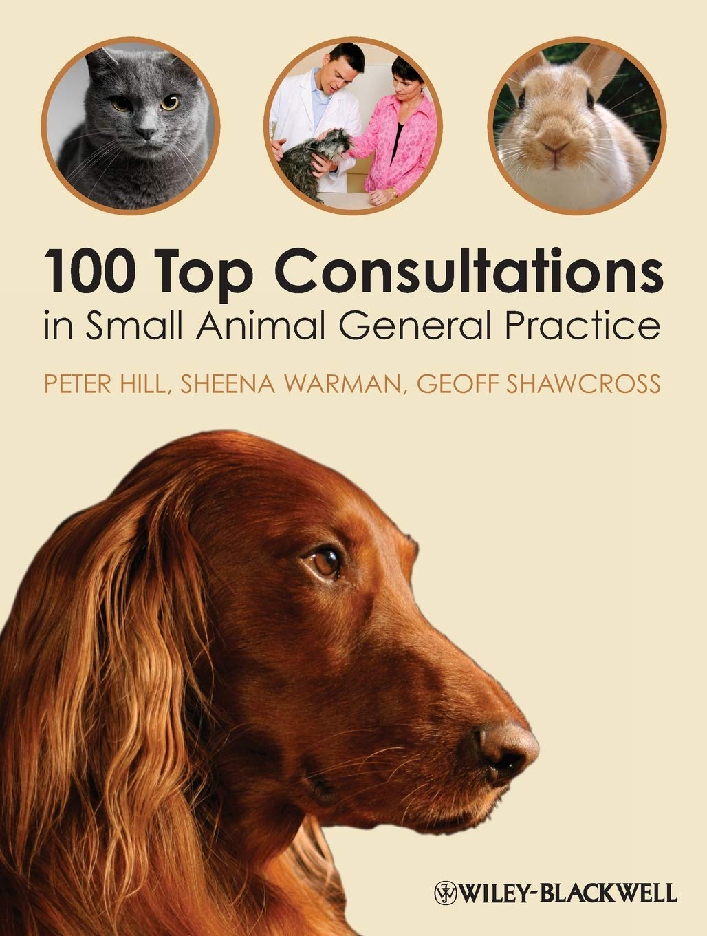 100 Top Consultations in Small Animal General Practice image number 1