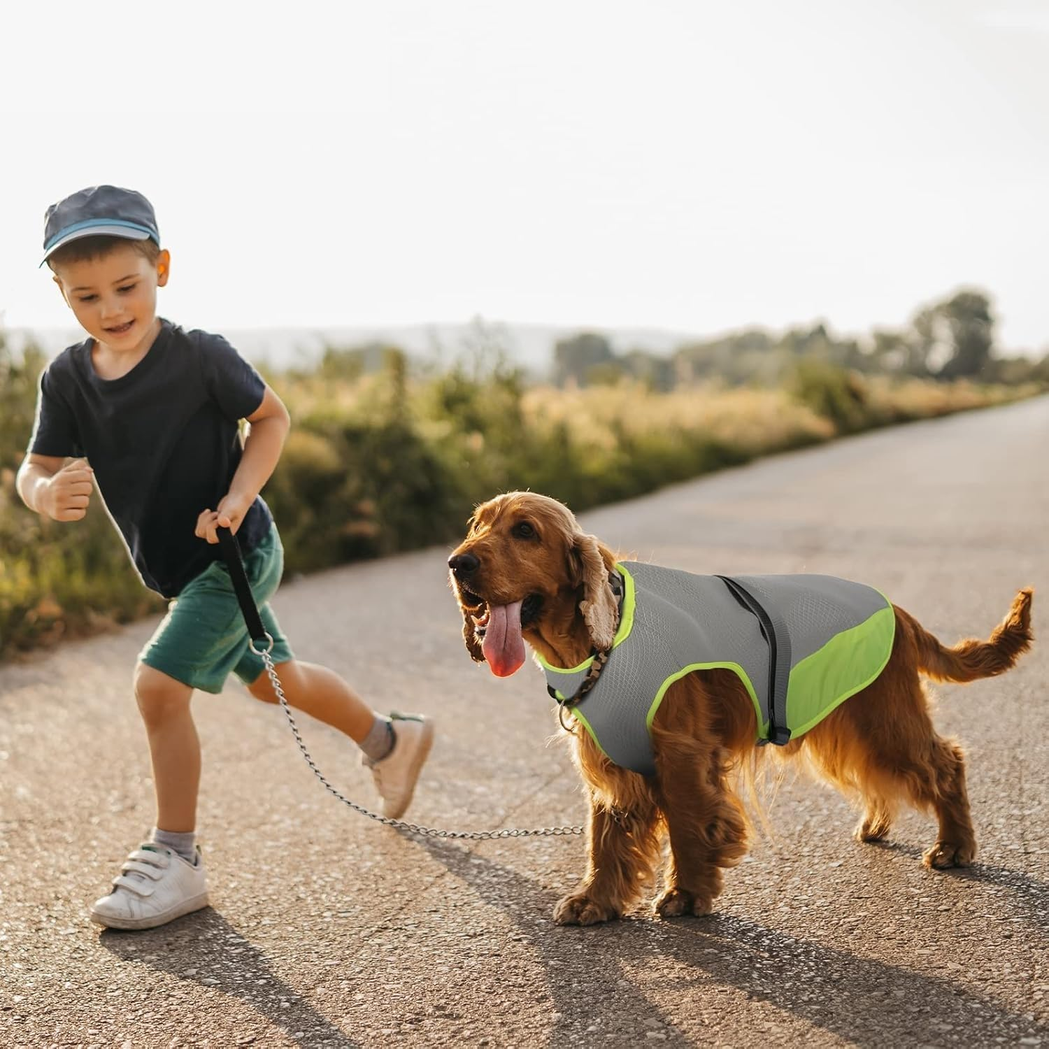 Cooling Vest for Dogs,Dog Cooling Jacket,Pet Cooling Vest,Breathable Mesh Ice Vest Adjustable Straps Cool Vest for Small Medium and Large Dogs (Light Gray, M) image number 5