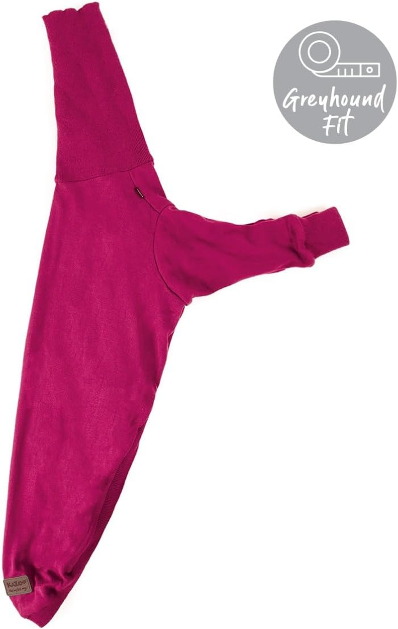 Kazoo Greyhound Dog Jumper, Kakadu, Large image number 1