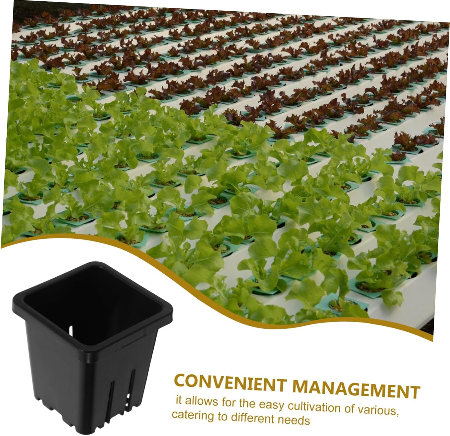 SUPVOX 10Pcs Plastic Hydroponic Net Pots Cultivation Baskets for Vegetable Indoor Gardening Reusable Mesh Planter image number 4