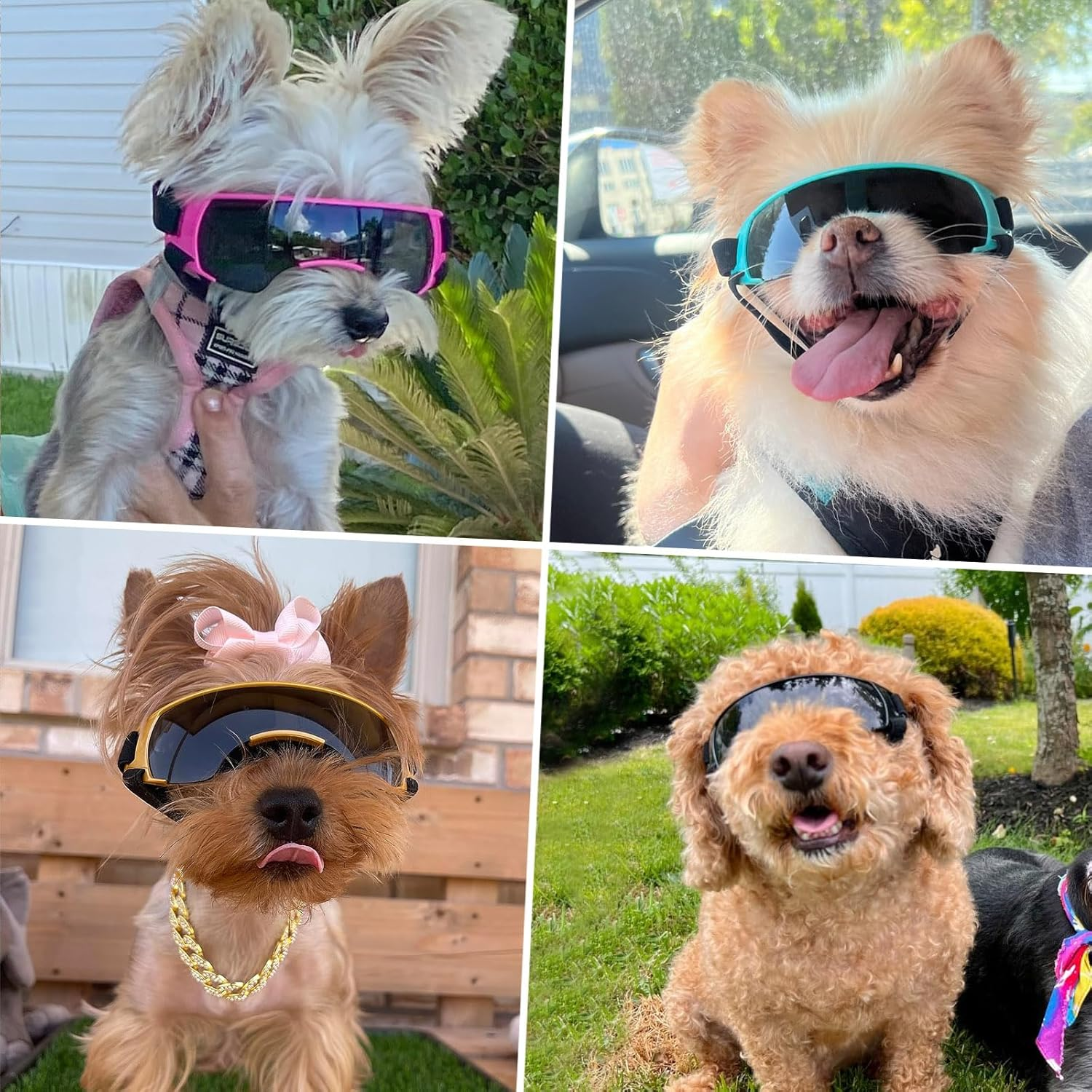 PETLESO Glasses for Small Dogs Eye Protection Glasses Wind Protection Glasses for Small Dogs UV Protection Dog Sunglasses for Motorcycle/Dog Bicycle Basket/Convertible