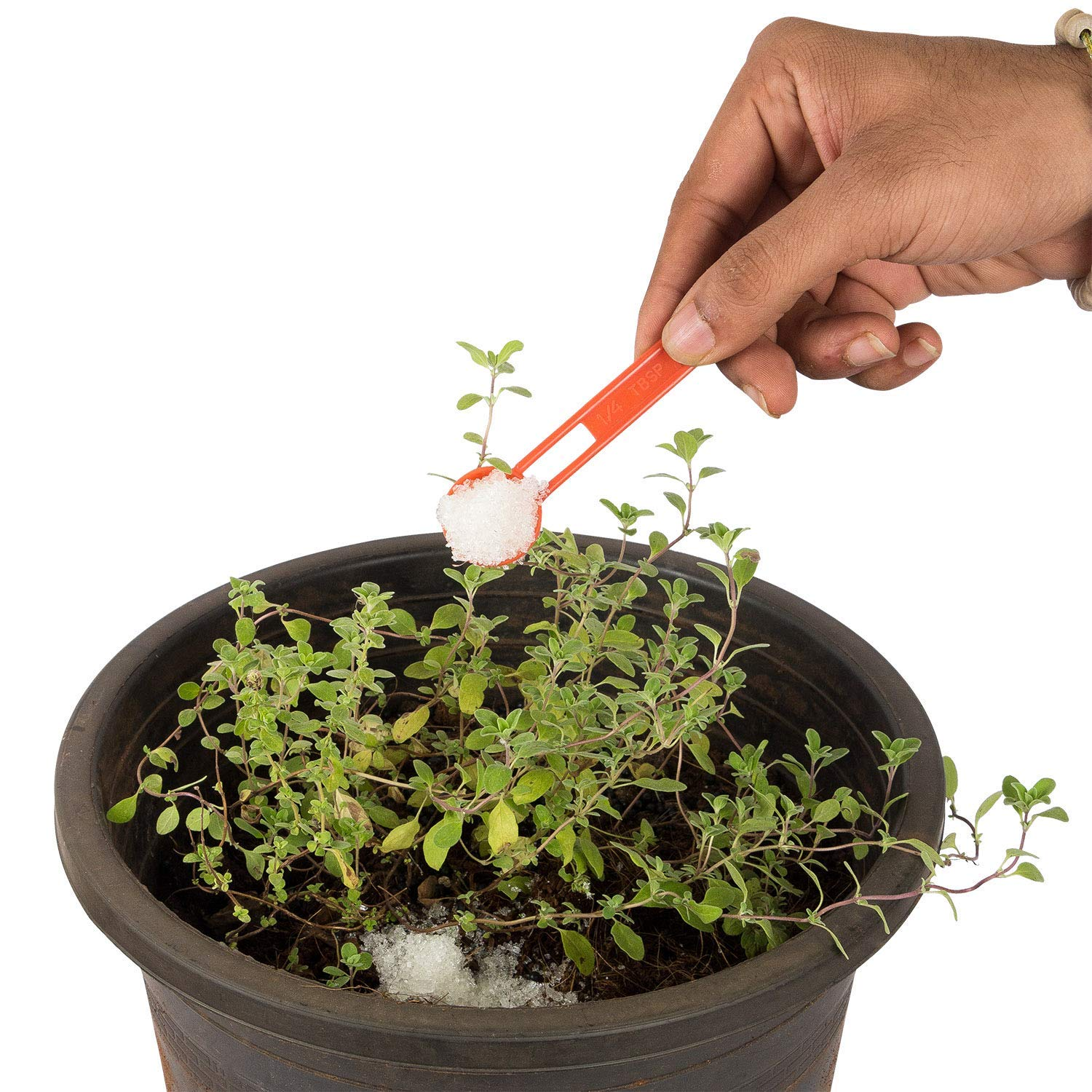 Creative Farmer Epsom Salt 1Kg | for Speed up Plant and Vegetable Growth Magnesium Sulphate