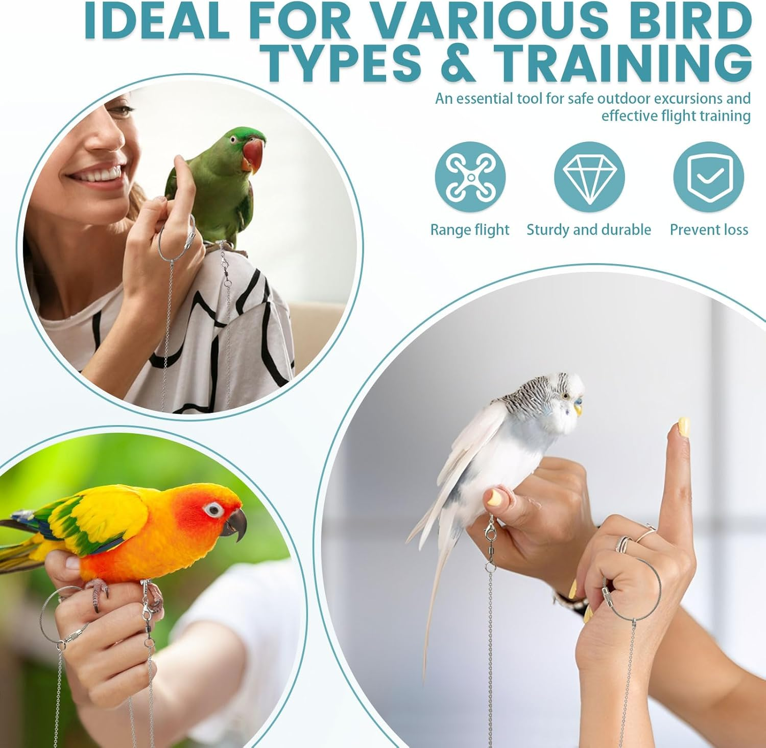 LELE LIFE 2 Pack 1M Bird Leash with 5 Sizes Ankle Rings, Stainless Steel Anti-Bite Parrot Bird Harness Flying Training Chain Leg Rope Outdoor Parrot Alloy Foot Ring image number 3