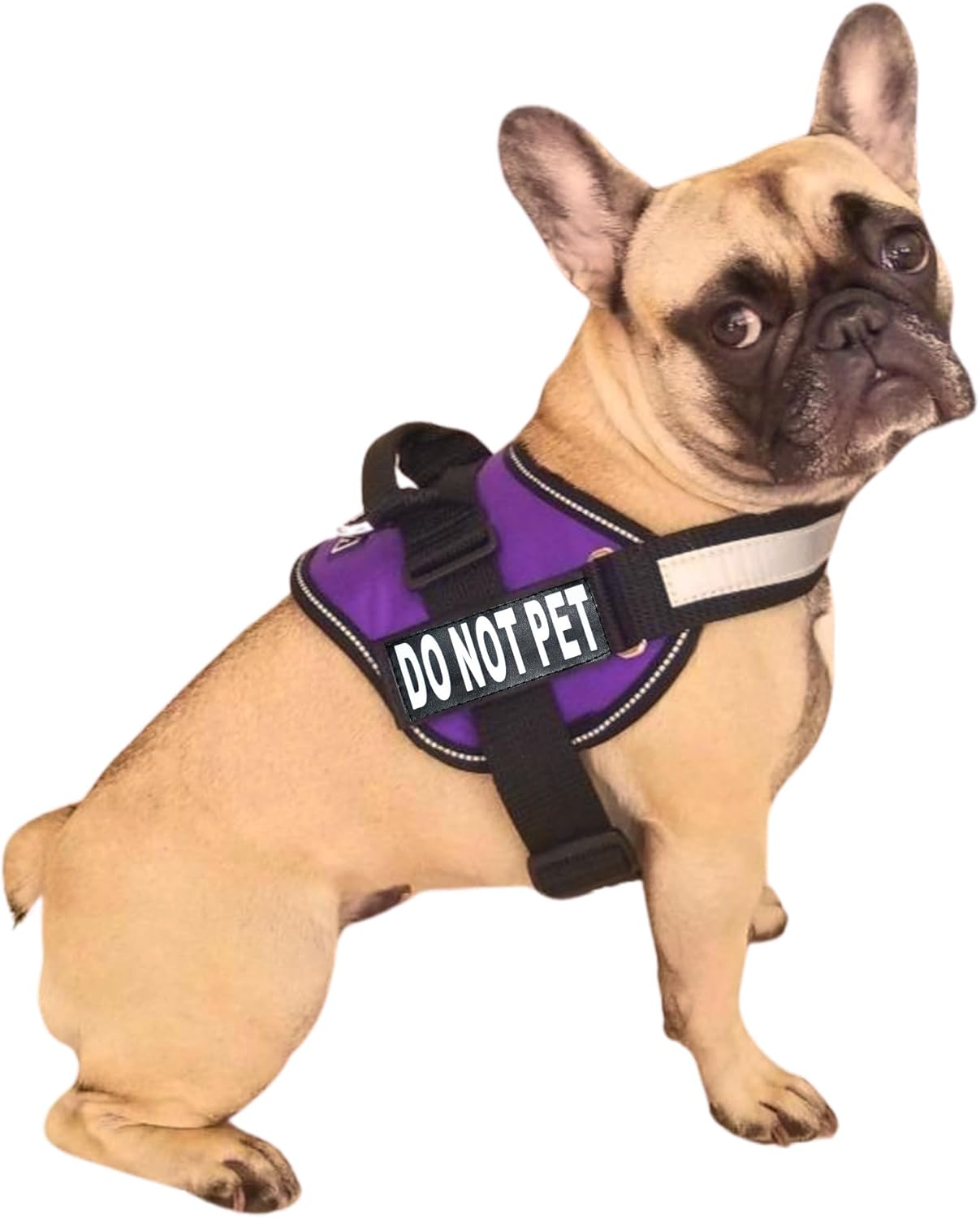 DO NOT PET Dog Vest Harness with Removable Patches and Reflective Trim. Comes with 2 DO NOT PET Reflective Removable Patches. Please Measure Dogs Girth before Purchase