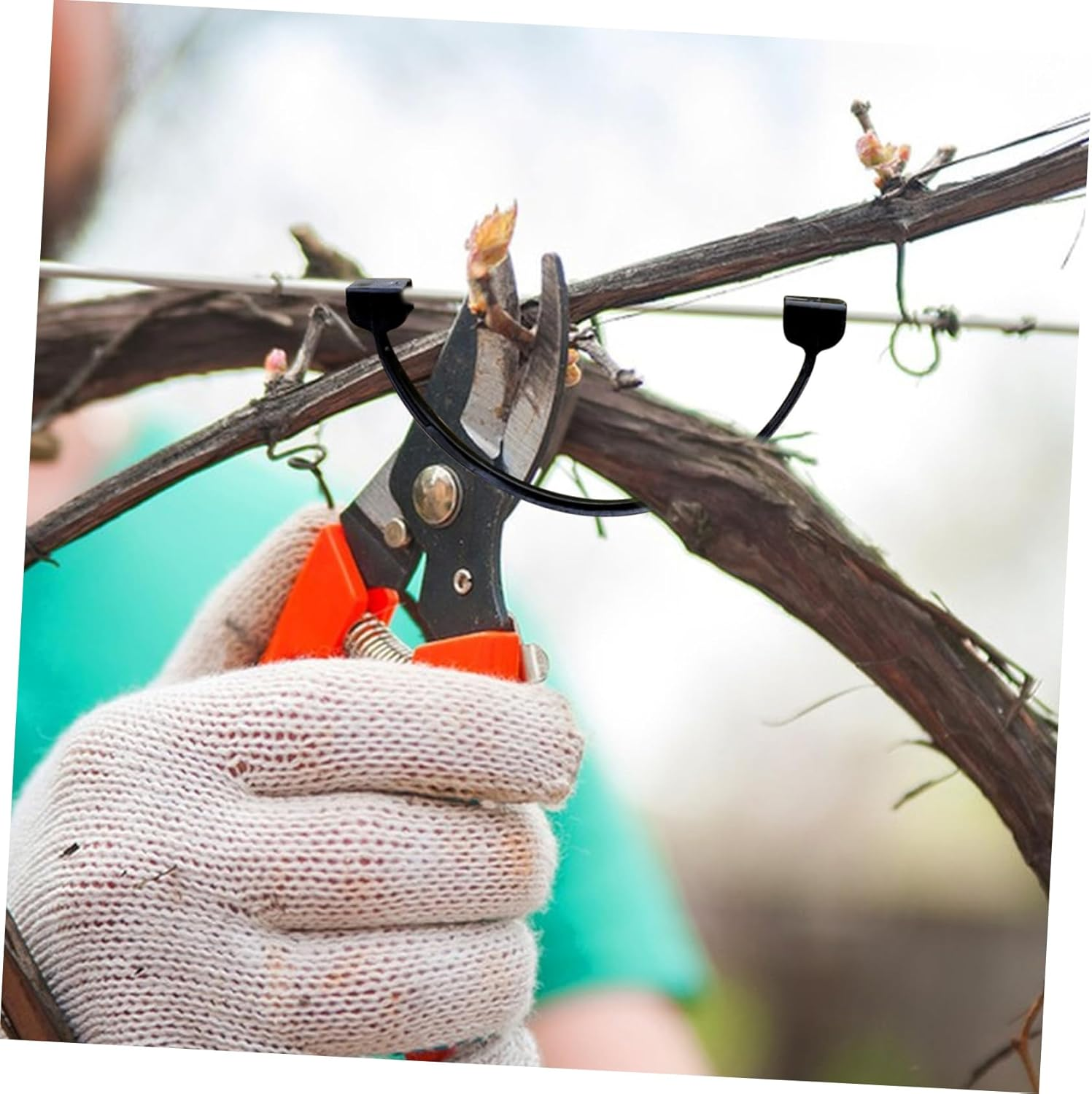 CIYODO 1Bag Plant Support Clips of Tie Branch Card Garden Supplies Plastic Clamp for Vines Fruit Tree Branch Clips image number 4