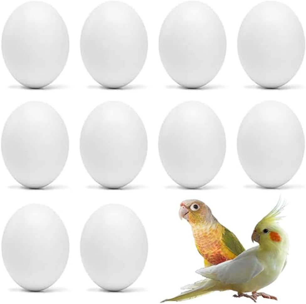 10Pcs Solid Parrot Plastic Fake Eggs Realistic Simulated Fake Bird Eggs for Hatching Mini Macaw Cockatoo African Grey Eclectus Trick Birds to Stop Laying Eggs image number 2