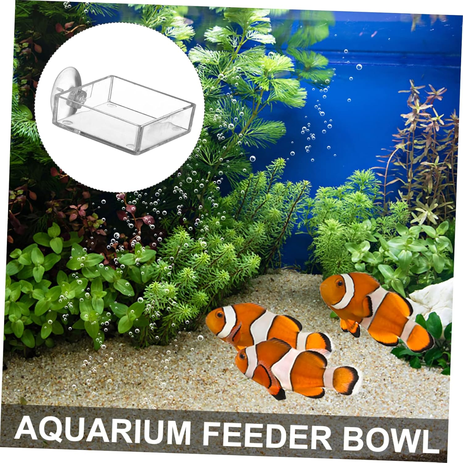 VILLFUL 4Pcs Aquarium Feeding Device Cup Shrimp Feeder Bowl for Fish Tank Easy to Clean Fish Food Dispensing Tray for Aquatic Pets image number 3