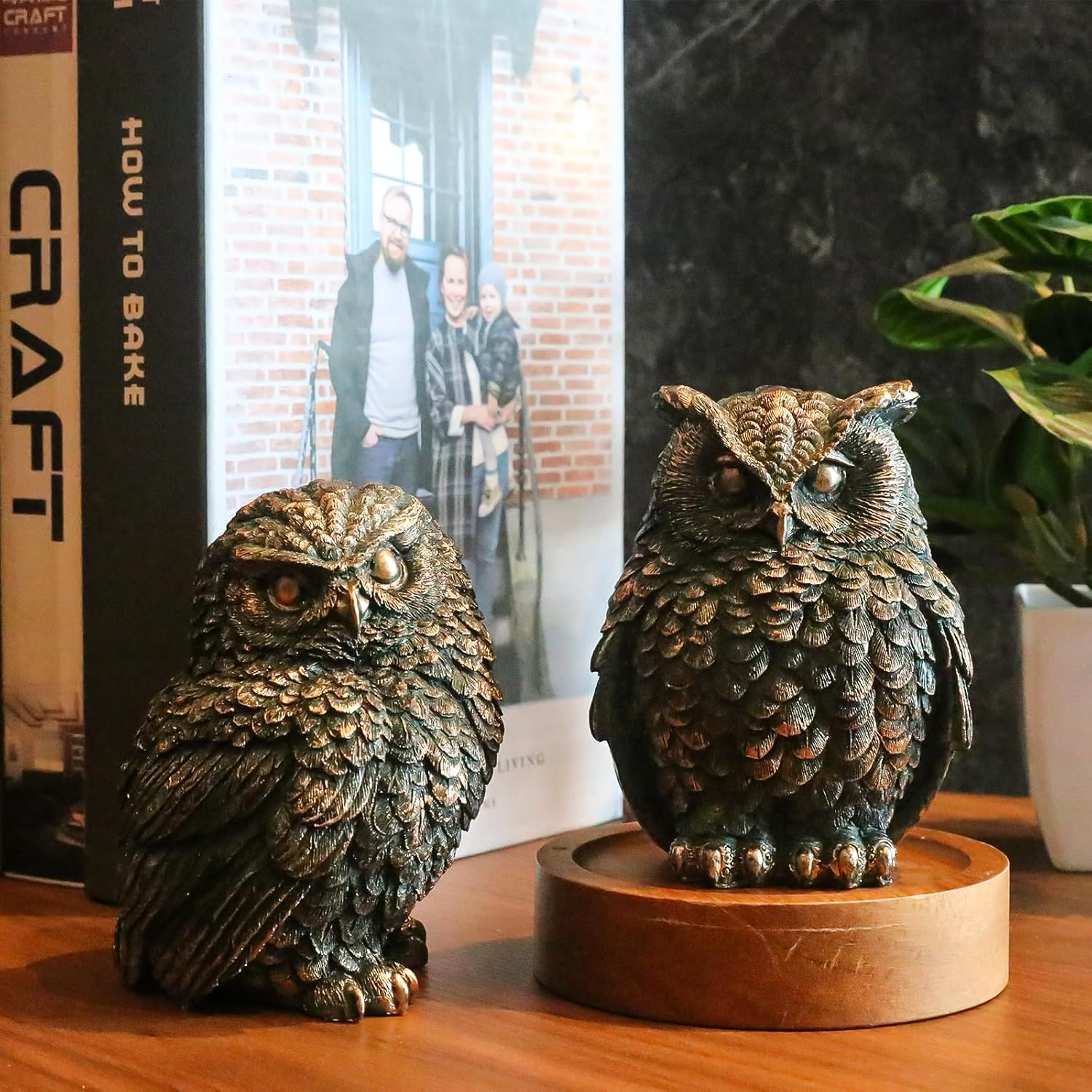 2 Pack Unique Owl Statues for Home and Outdoor Garden Decoration, Living Room Vintage Resin Owl Figurines, Knick Knacks for Shelves, Women Gift