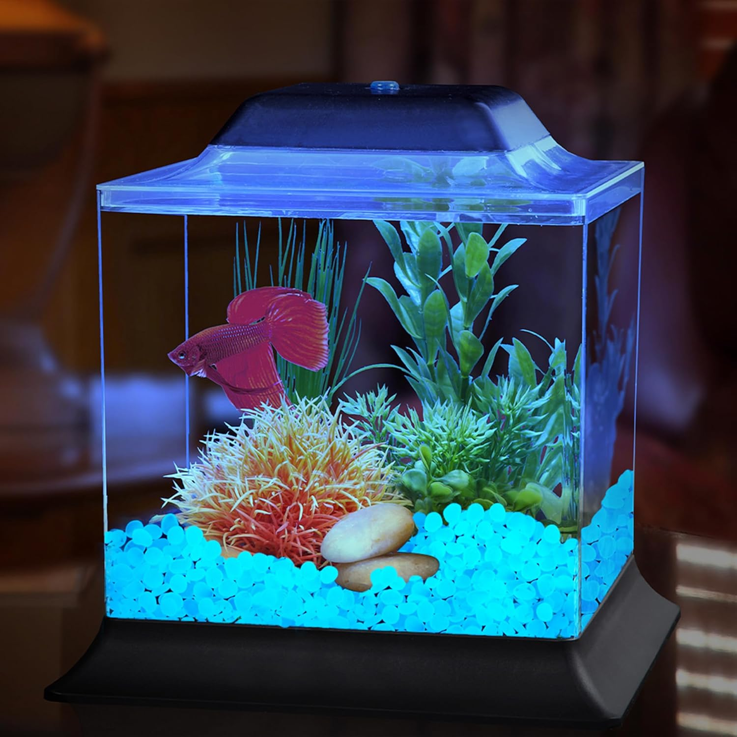 Glow in the Dark Rocks Outdoor Decorative Stones, 1000 PCS White Glows Blue Small Luminous Pebbles for Garden Walkway Fish Tank Aquarium Planter Vase Filler image number 6