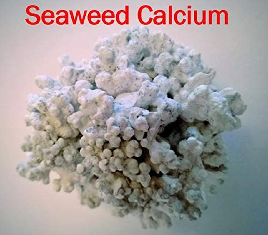 Vetnex Seaweed Calcium Powder for Dogs & Cats 200G image number 2