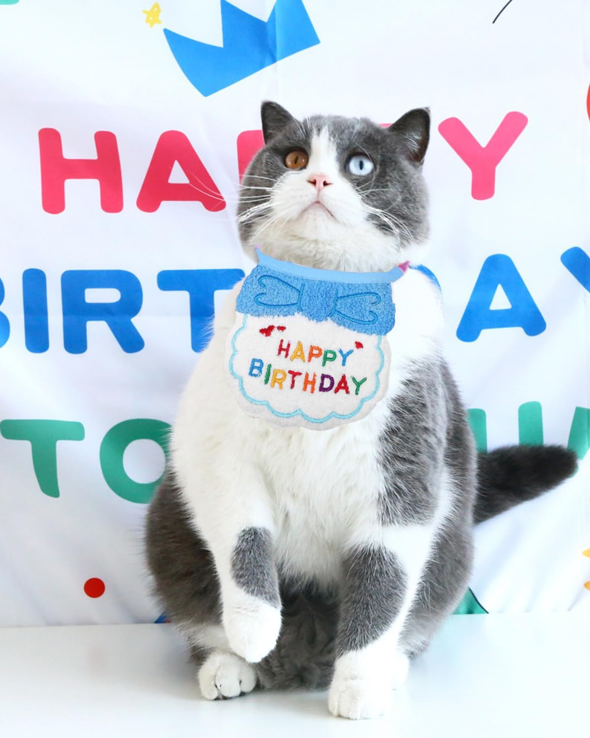 Zeayebsr 2 Pieces Cat Dog Birthday, Cute Birthday Bandana Set for Small Dog, Pet Happy Birthday Decorations for Girls Boys Kittens Birthday Hat Decoration image number 5