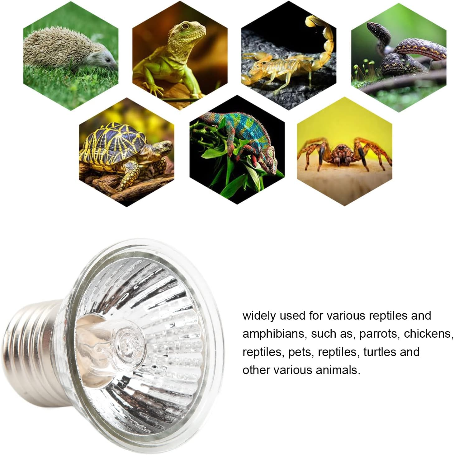 UVB Reptile Heat Lamp Bulbs, Full Spectrum Calcium Supplement Uniform Light UVB Heating Lamp E27 Screw Base for Reptiles (25W) image number 1