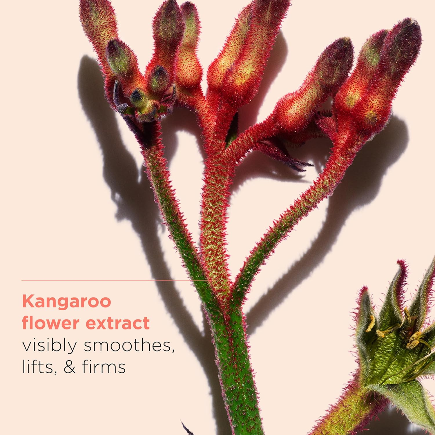 Clarins Extra Firming anti Wrinkle Control Day Cream 50 Ml image number 5