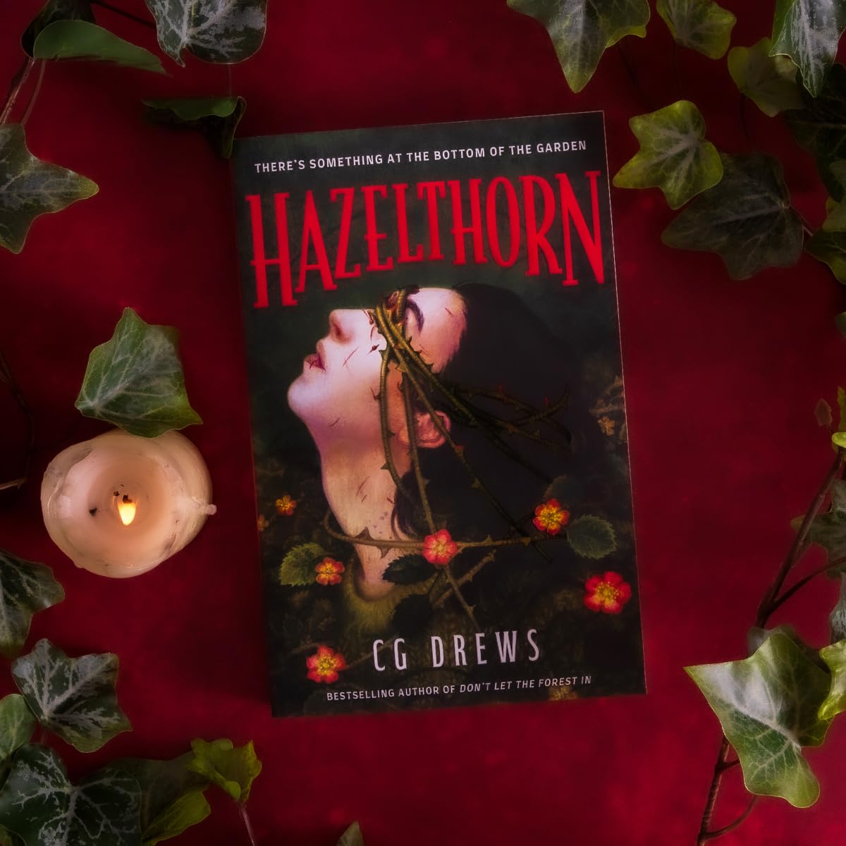 Hazelthorn: Gorgeously Gothic Horror and Queer Dark Romance from the NYT Bestselling Author of Don'T Let the Forest In image number 2
