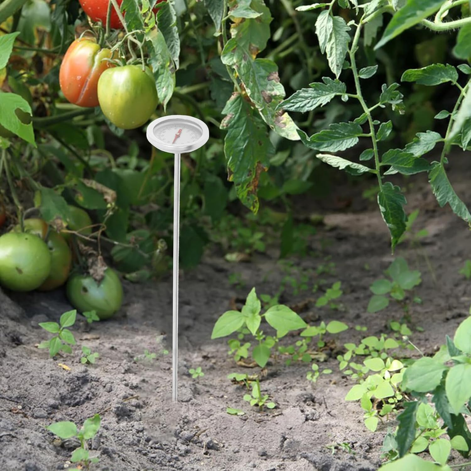 Angoily Reusable Compost Soil Temperature Gauge with Stainless Steel Probe Accurate Readings for Backyard Gardening and Home Composting Portable Long Stem Thermometer for Precise Soil image number 6