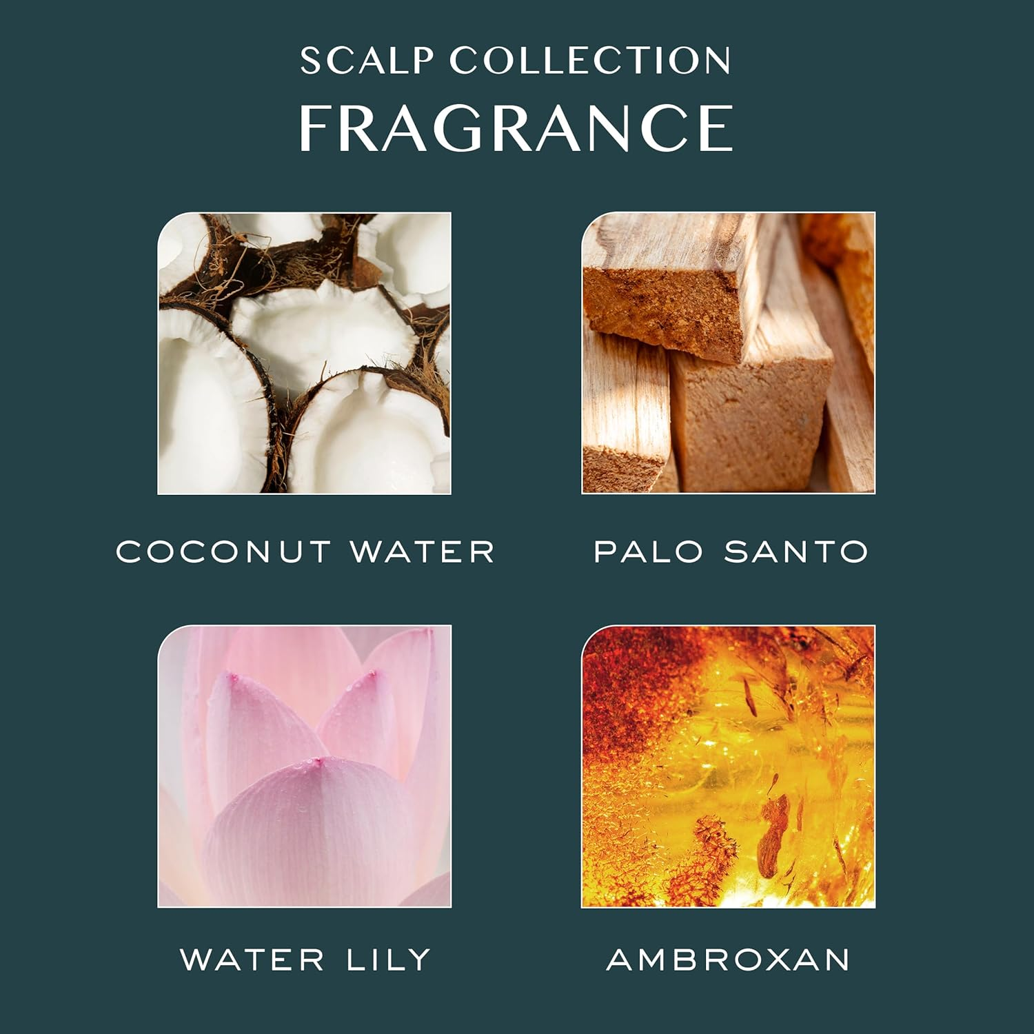 Kristin Ess Scalp Purifying Micellar Shampoo, 10 Fluid Ounces image number 6