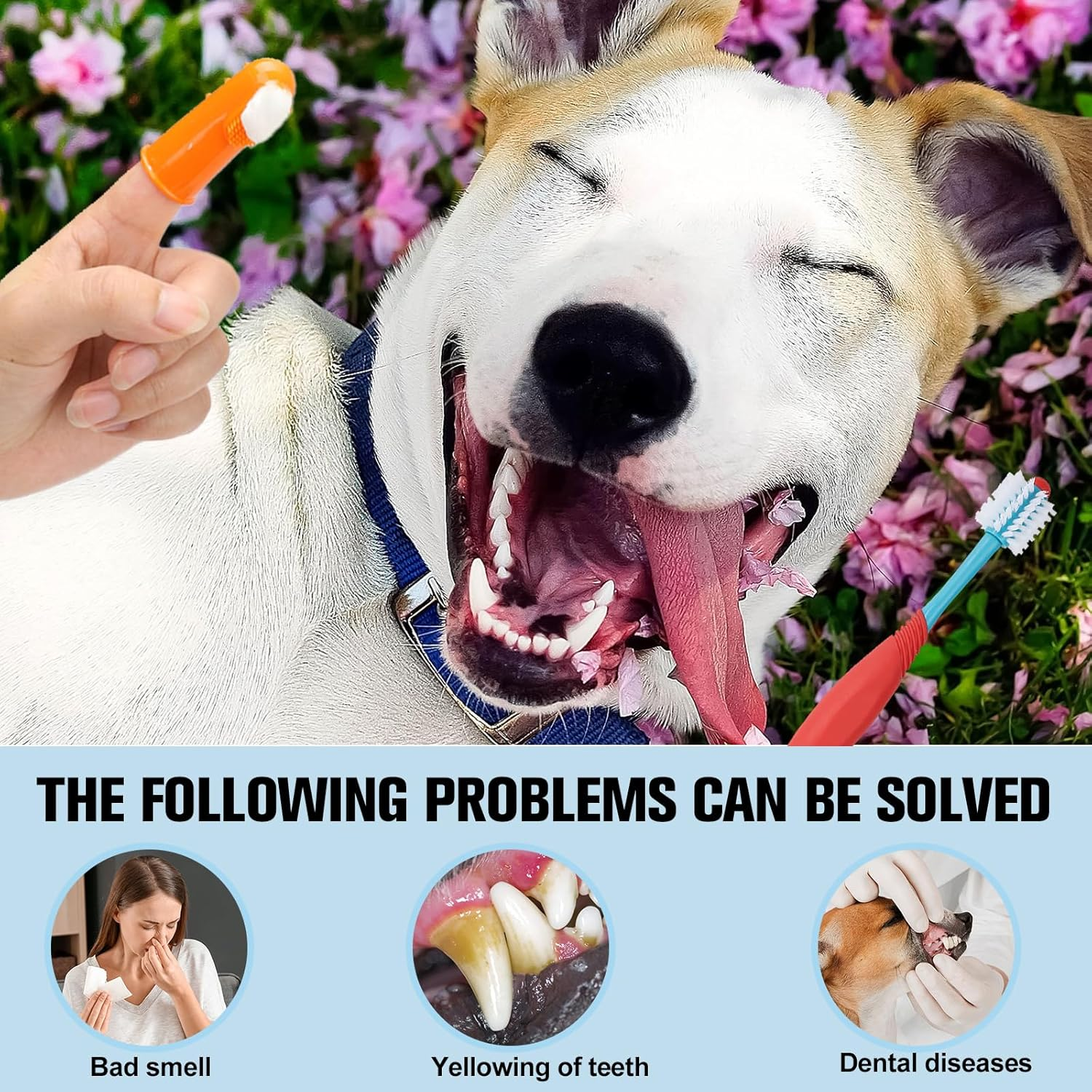 Dog Toothbrush for Small Medium to Large Dogs and Cats, Soft-Bristled Dog Tooth Brushing Kit - 3 Pcs Dual Head Premium Non-Slip Handle with 3 Cleaning Finger Brush for Dogs Cats Teeth image number 1