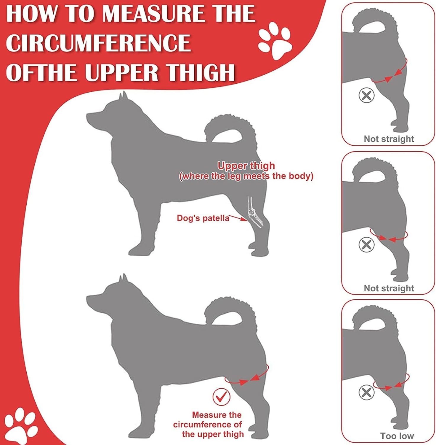 Leg Brace, Dog Canine Rear Leg Hock Brace, Joint Compression Dog Brace Wrap for Recovery, Protection Sprain & Injury Prevention, Knee Hock Ankle Extra Supportive for Dogs, 1 Pair (L)